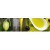 olio_e_olive