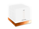 Sicilian Lemon Panettone by Pasì | Horeca Format | Sold in Cases