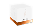 Sicilian Lemon Panettone by Pasì | Horeca Format | Sold in Cases