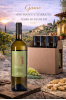 gam_-_vino_bianco_catarratto_terre_siciliane_igp_cantine_pepi