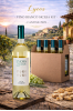 lycos_-_vino_bianco_sicilia_igt_cantine_pepi