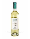 lycos-fronte-cantine-pepi