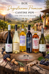 box_degustazione_premium_cantine_pepi_-_vini_speciali_siciliani