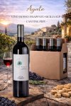 agate_-_vino_rosso_frappato_sicilia_igp_cantine_pepi_352486230