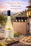 frappato_bianco_cantine_pepi_-_vino_sicilia_igp