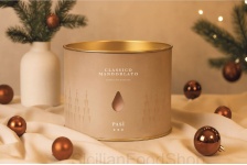 Panettone Clásico con Cáscara de Naranja y Pasas | Pasì | Pack 2025