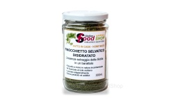 finocchietto_selvatico_secco_fronte