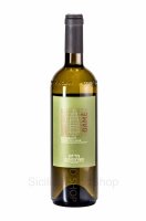 gam-fronte-cantine-pepi