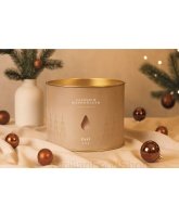 Panettone classique aux écorces d'orange et aux raisins secs | Pasì | Pack de 2025