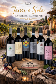 box_terra_e_sole_-_6_vini_rossi_cantine_pepi