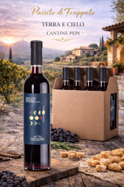 passito_frappato_terra_e_cielo_-_cantine_pepi_612090707