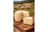 pecorino_primo_sale_fetta_pistacchio